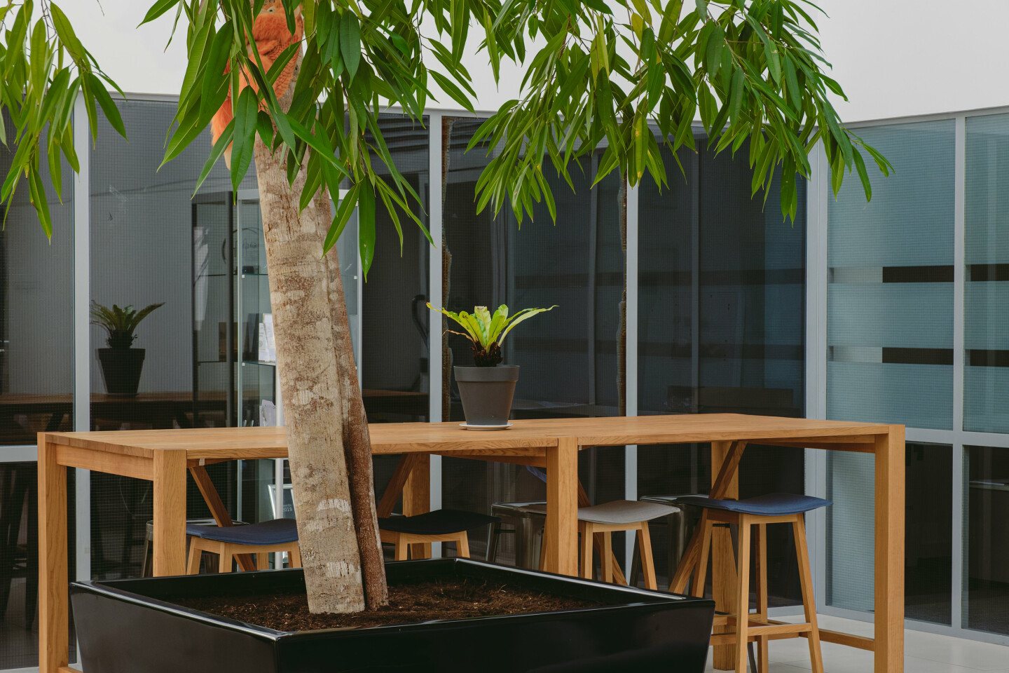 Shared tables under the tree in the Spaceworks café
